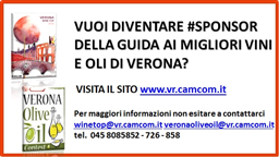 Immagine sponsor sito www.veronawinetop.jpg