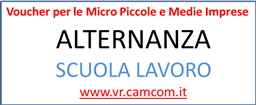 voucher alternanza vrcamcom2.png